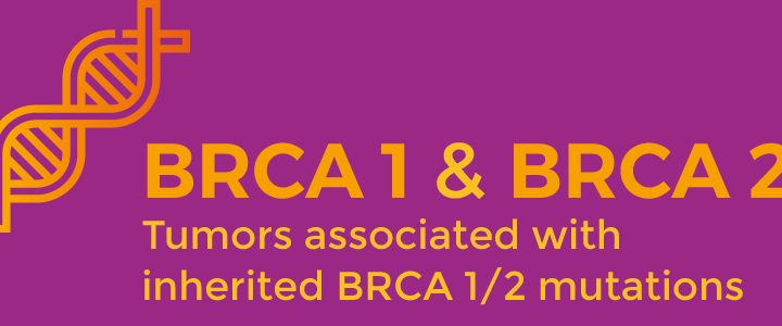 brca 1 brca2