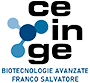 logo-ceinge_2022